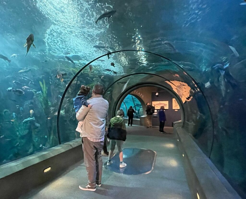 Oregon Coast Aquarium-Oregon