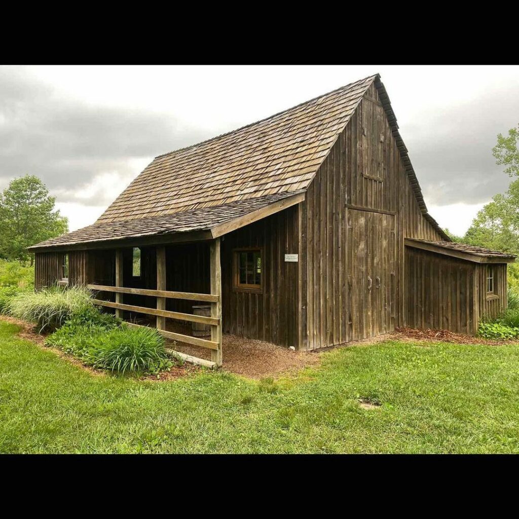 Walt Disney Dreaming Tree and Barn-Missouri