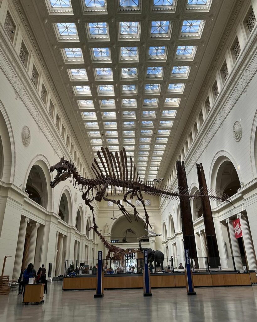 Field Museum-Chicago