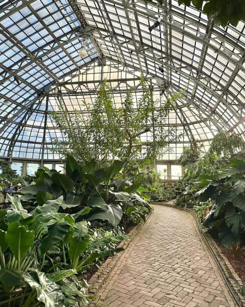 Garfield Park Conservatory-Indiana