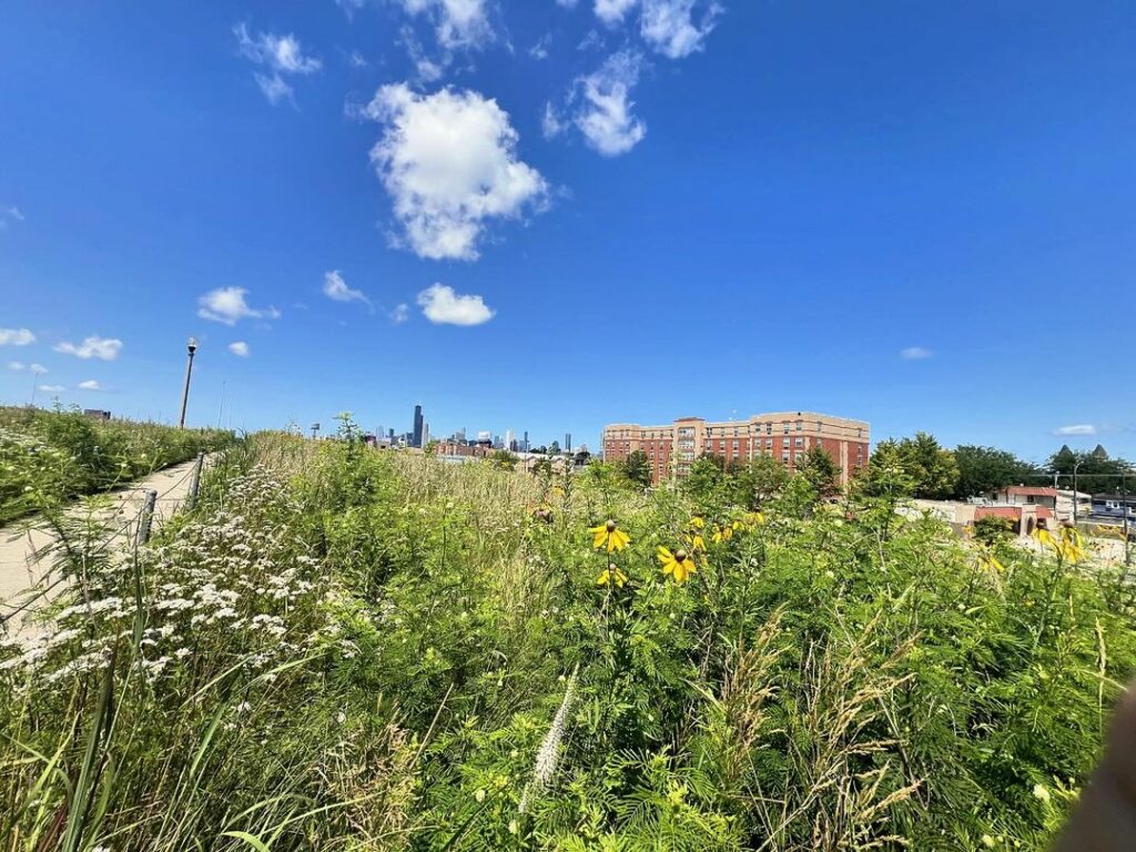 Palmisano Park-Chicago