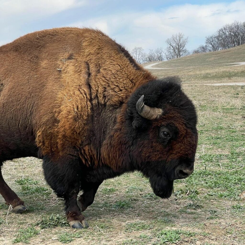 Simmons Conservation Park-Nebraska